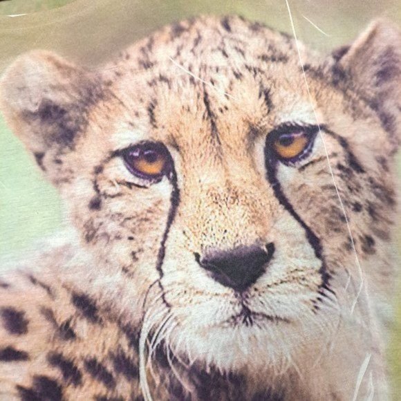 Baby Cheetah Cub 3D Print Slouchy Crop Top T-Shirt - Picture 6 of 9